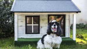 Kako zgraditi najpreprostejši pes za pse s svojimi rokami